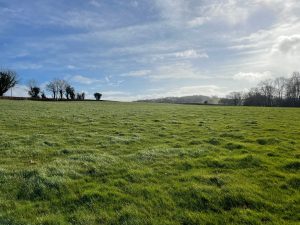 155.45 ACRES AVAILABLE FOR GRAZING/MOWING BY INFORMAL TENDER – NEW HOUSE FARM, NEWTON ST MARGARETS, HR2 0QR