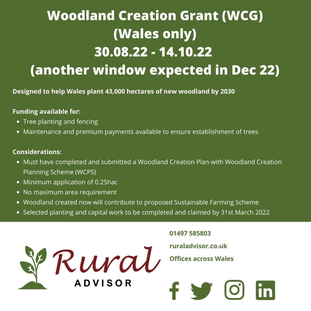 Woodland Grants and Schemes available in Wales Rural Advisor