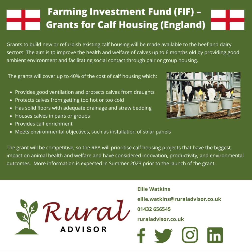 Farming Investment Fund Grants for Cattle Housing (England only